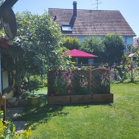 Gite Alsace Appenwihr Eksteriør bilde