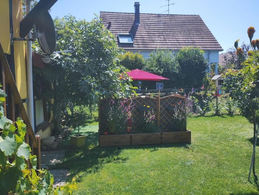 Gite Alsace Appenwihr Eksteriør bilde
